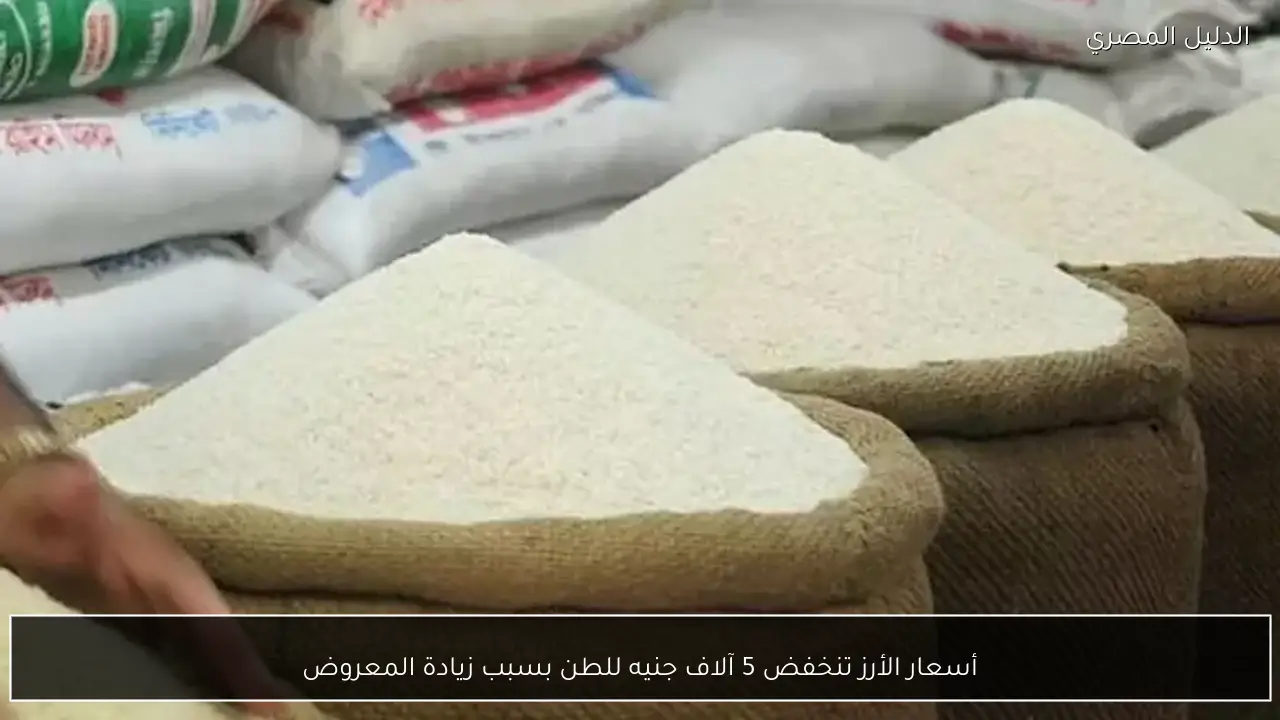 أسعار الأرز تنخفض 5 آلاف جنيه للطن بسبب زيادة المعروض