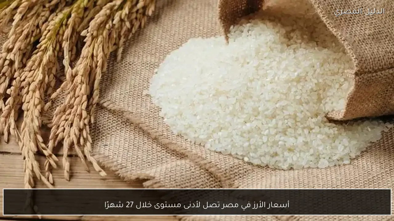أسعار الأرز في مصر تصل لأدنى مستوى خلال 27 شهرًا