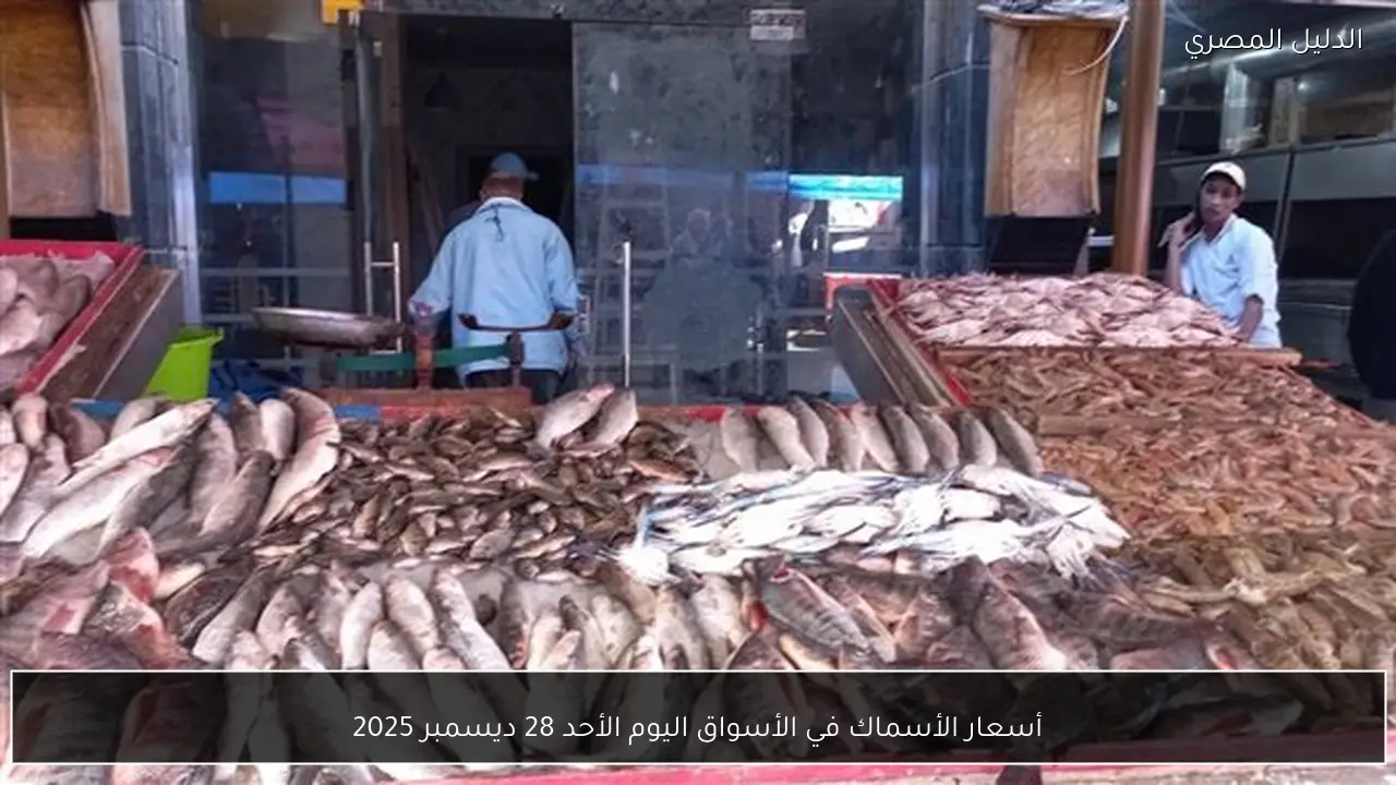 أسعار الأسماك في الأسواق اليوم الأحد 28 ديسمبر 2025