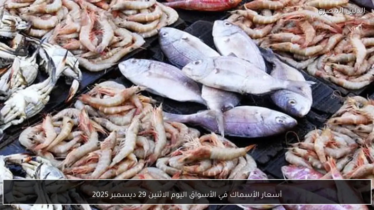 أسعار الأسماك في الأسواق اليوم الاثنين 29 ديسمبر 2025