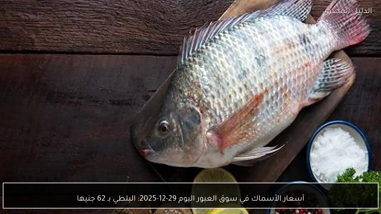 أسعار الأسماك في سوق العبور اليوم 29-12-2025: البلطي بـ 62 جنيها