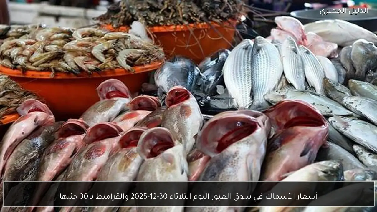 أسعار الأسماك في سوق العبور اليوم الثلاثاء 30-12-2025 والقراميط بـ 30 جنيها