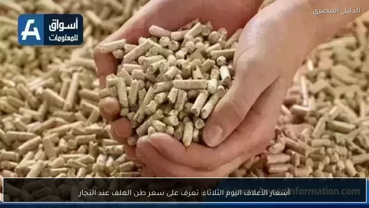 أسعار الأعلاف اليوم الثلاثاء: تعرف على سعر طن العلف عند التجار