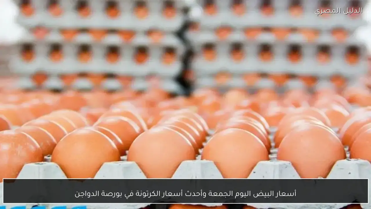 أسعار البيض اليوم الجمعة وأحدث أسعار الكرتونة في بورصة الدواجن