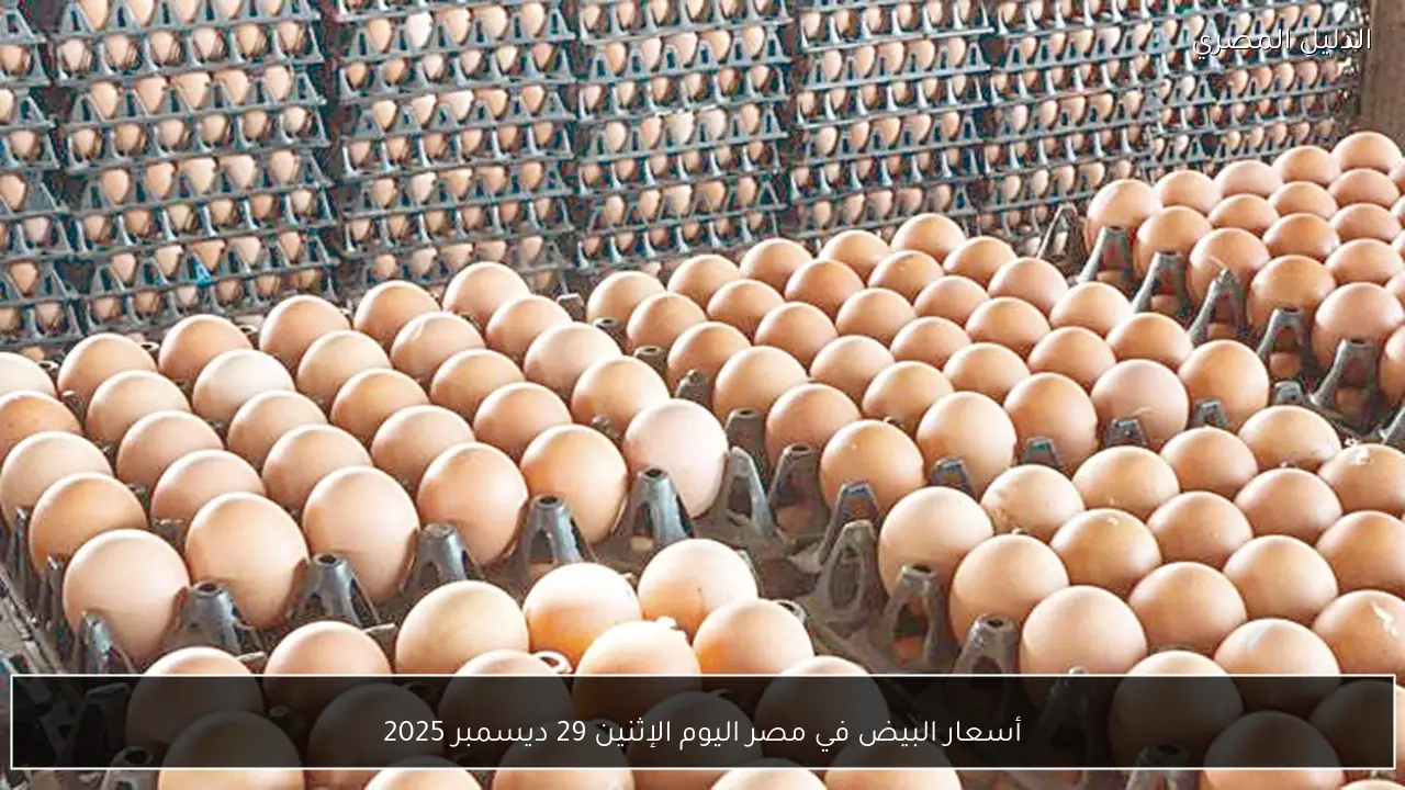 أسعار البيض في مصر اليوم الإثنين 29 ديسمبر 2025