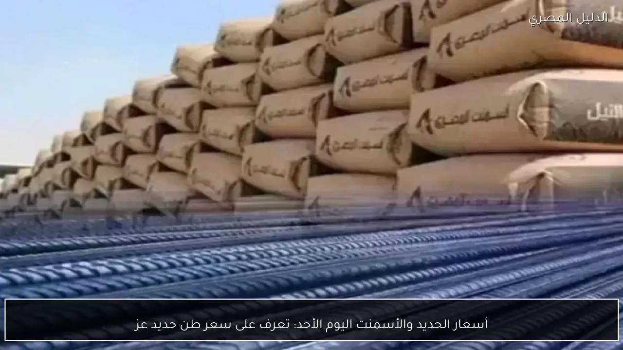 أسعار الحديد والأسمنت اليوم الأحد: تعرف على سعر طن حديد عز