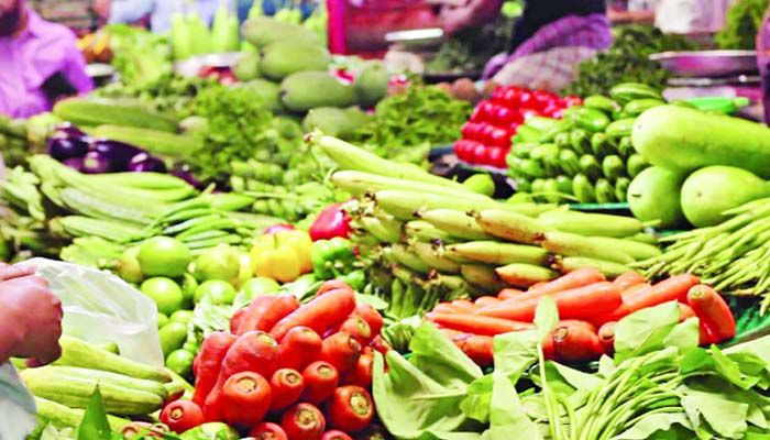 سعر الخضار اليوم، الدليل المصري