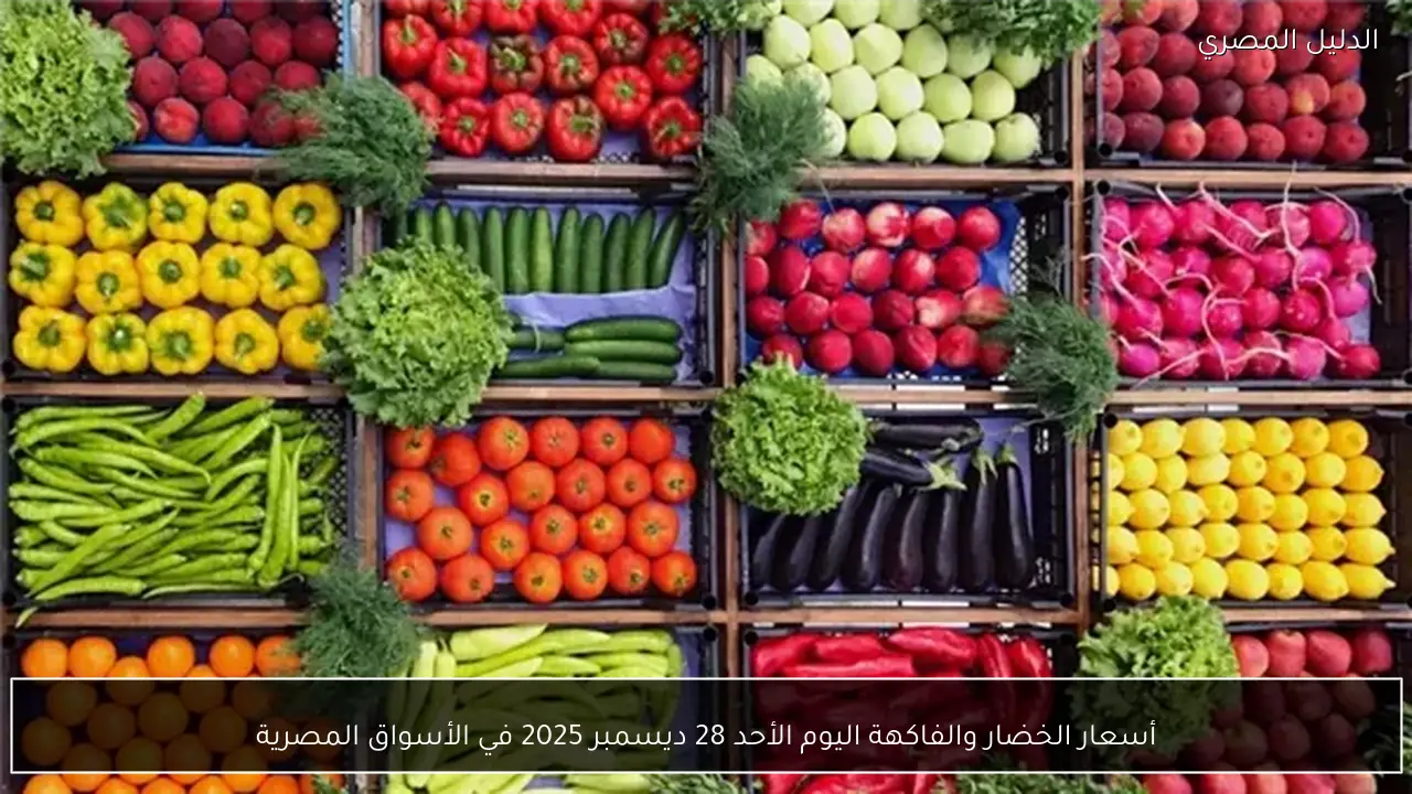 أسعار الخضار والفاكهة اليوم الأحد 28 ديسمبر 2025 في الأسواق المصرية