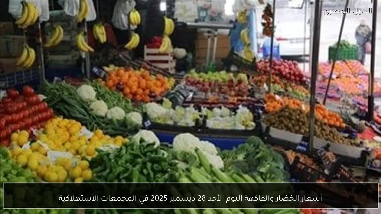 أسعار الخضار والفاكهة اليوم الأحد 28 ديسمبر 2025 في المجمعات الاستهلاكية