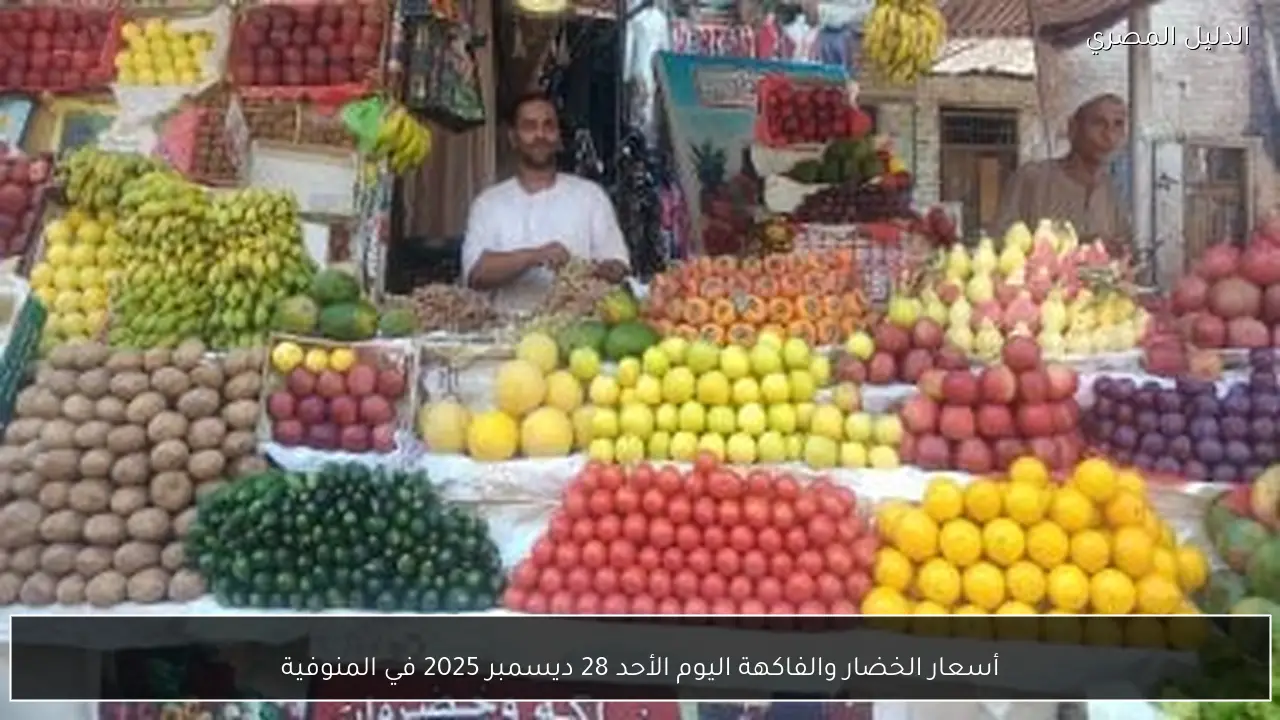 أسعار الخضار والفاكهة اليوم الأحد 28 ديسمبر 2025 في المنوفية