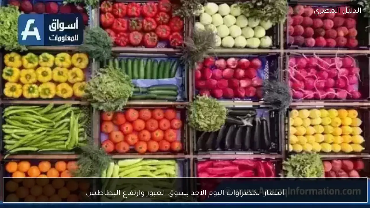 أسعار الخضراوات اليوم الأحد بسوق العبور وارتفاع البطاطس