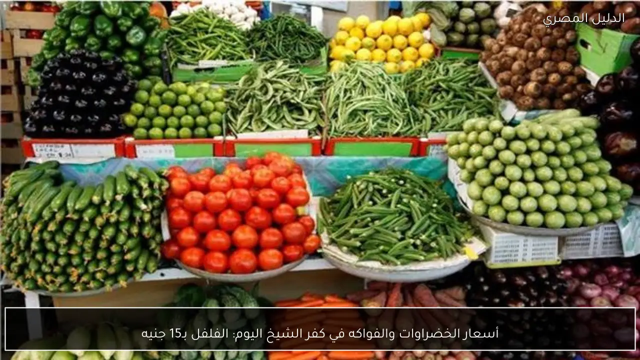 أسعار الخضراوات والفواكه في كفر الشيخ اليوم: الفلفل بـ15 جنيه