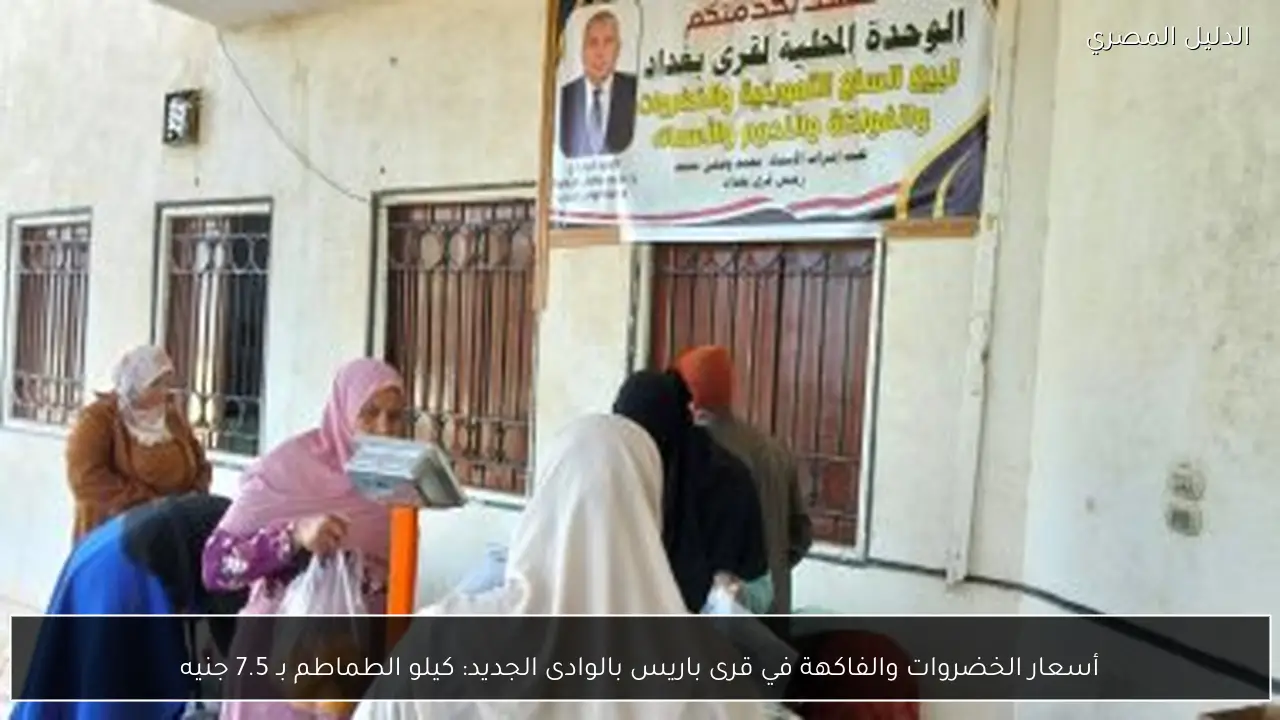 أسعار الخضروات والفاكهة في قرى باريس بالوادى الجديد: كيلو الطماطم بـ 7.5 جنيه