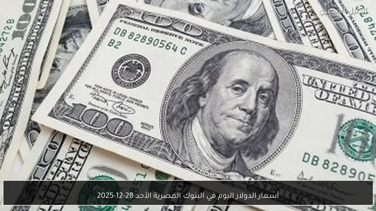 أسعار الدولار اليوم في البنوك المصرية الأحد 28-12-2025
