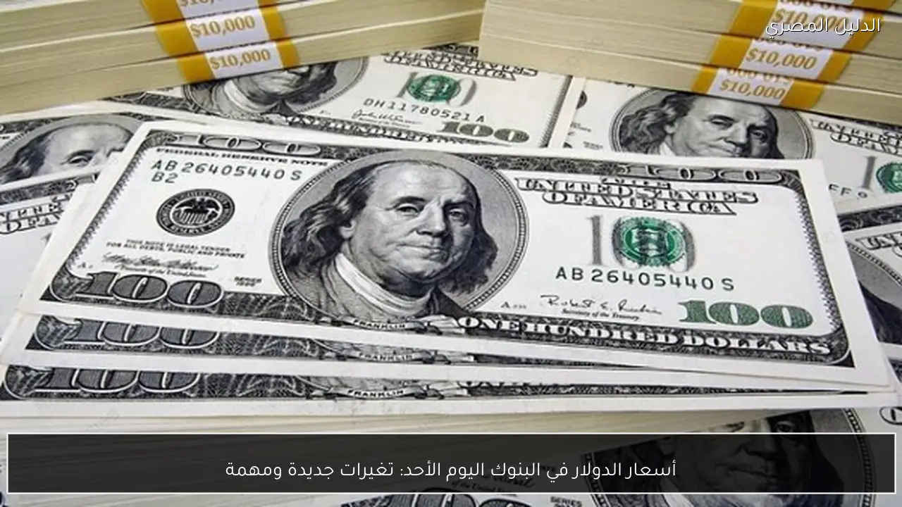 أسعار الدولار في البنوك اليوم الأحد: تغيرات جديدة ومهمة