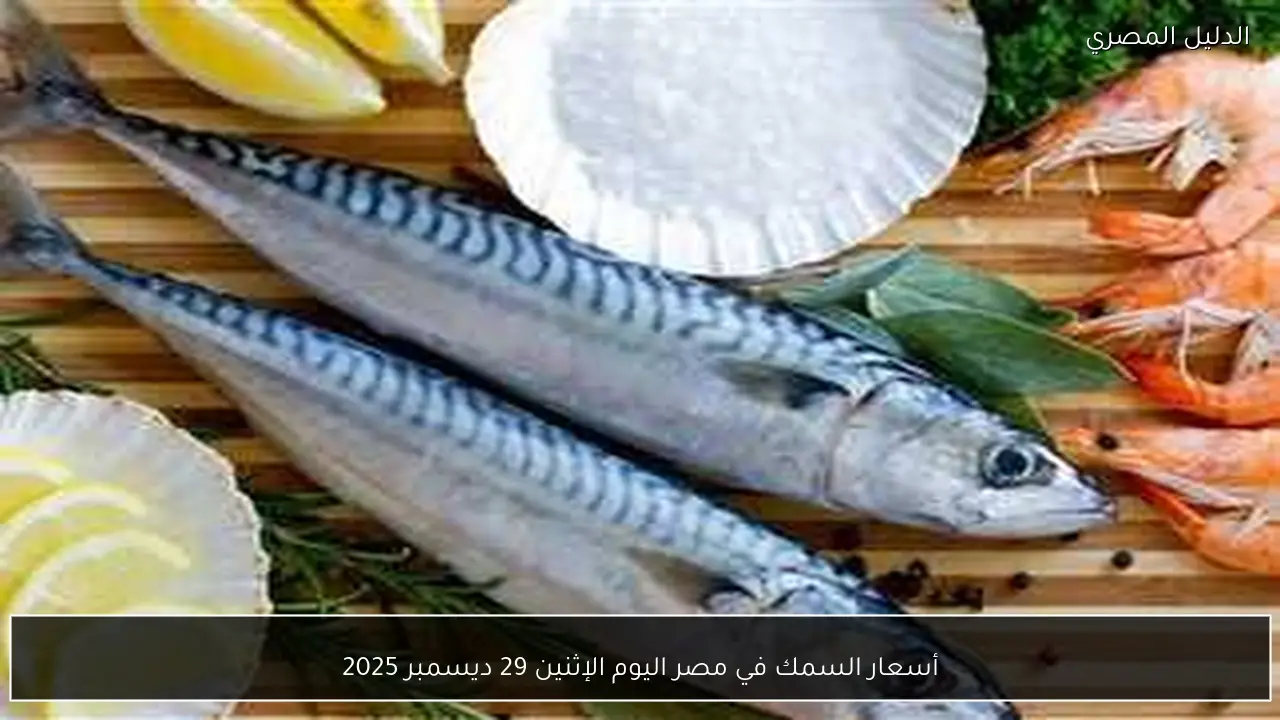 أسعار السمك في مصر اليوم الإثنين 29 ديسمبر 2025