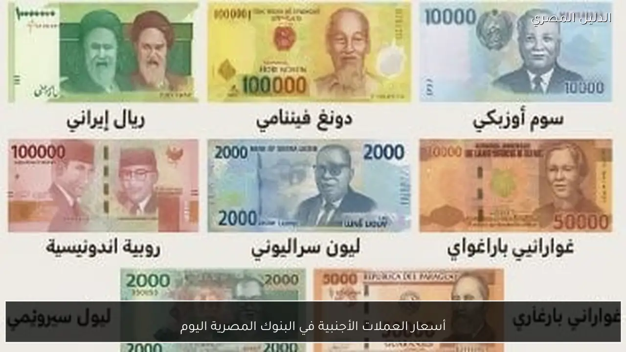 أسعار العملات الأجنبية في البنوك المصرية اليوم