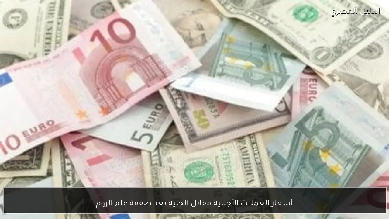 أسعار العملات الأجنبية مقابل الجنيه بعد صفقة علم الروم
