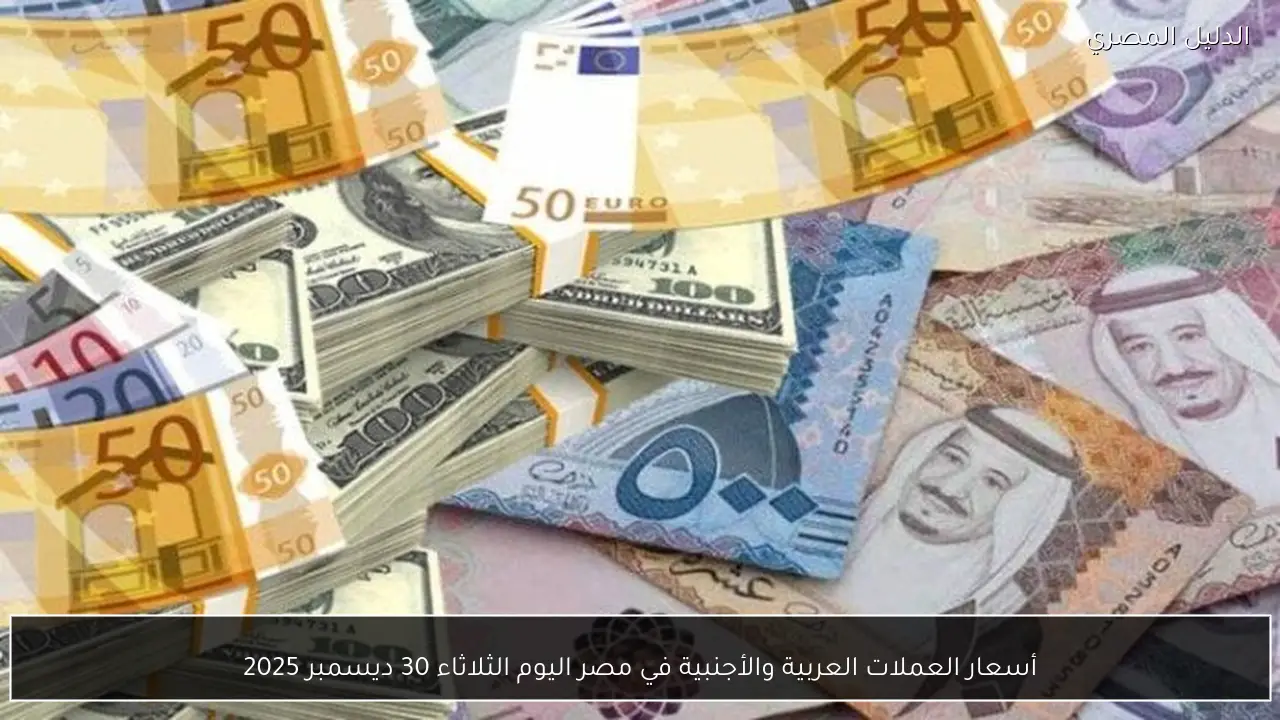 أسعار العملات العربية والأجنبية في مصر اليوم الثلاثاء 30 ديسمبر 2025
