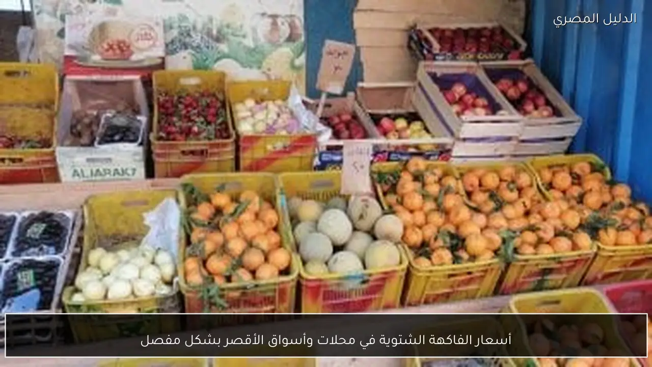 أسعار الفاكهة الشتوية في محلات وأسواق الأقصر بشكل مفصل