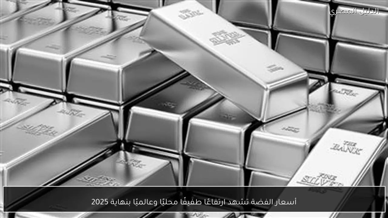 أسعار الفضة تشهد ارتفاعًا طفيفًا محليًا وعالميًا بنهاية 2025