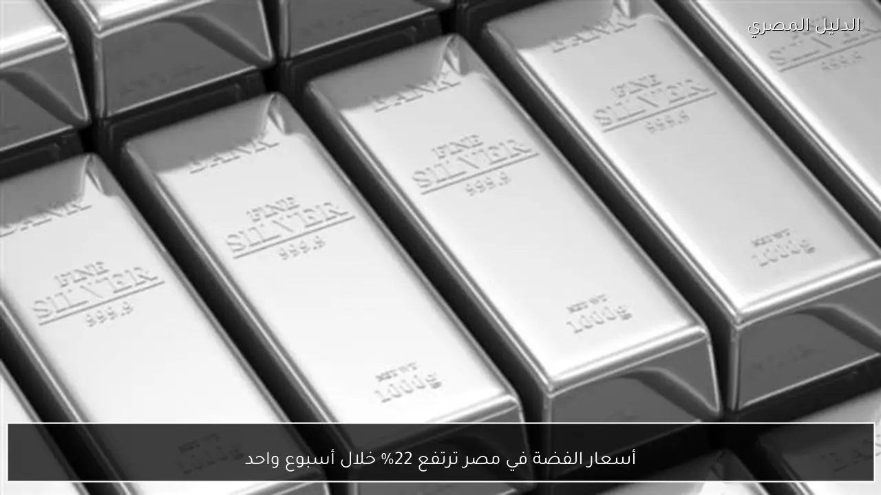 أسعار الفضة في مصر ترتفع 22% خلال أسبوع واحد