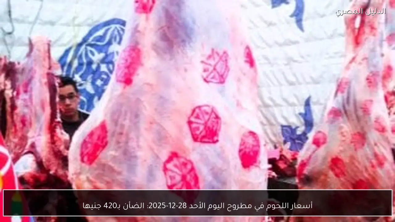 أسعار اللحوم في مطروح اليوم الأحد 28-12-2025: الضأن بـ420 جنيها