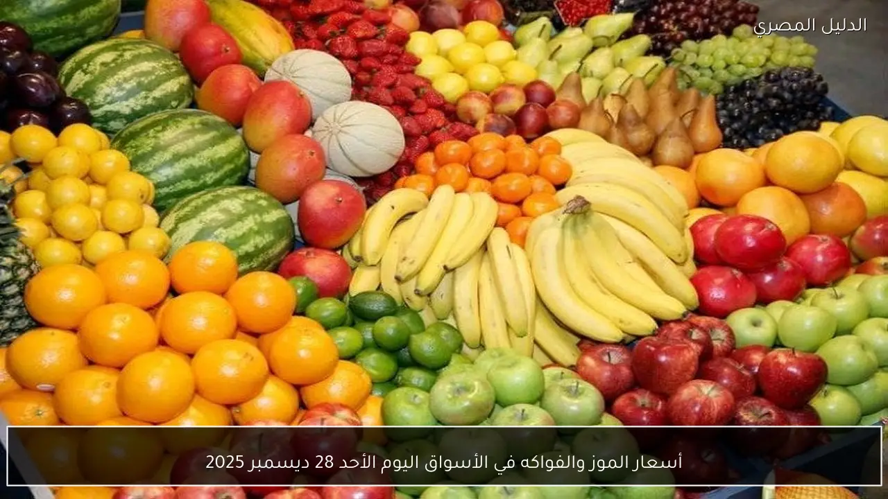 أسعار الموز والفواكه في الأسواق اليوم الأحد 28 ديسمبر 2025