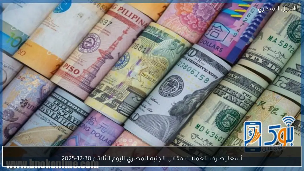 أسعار صرف العملات مقابل الجنيه المصري اليوم الثلاثاء 30-12-2025