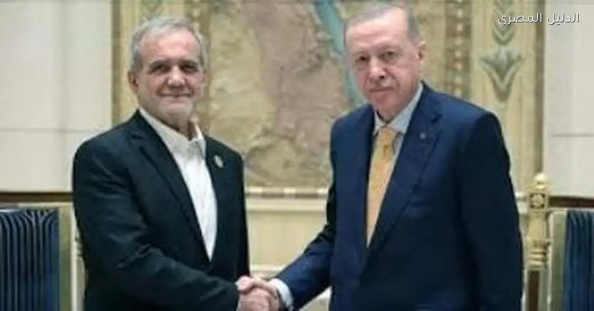 إيران وتركيا تبرز أهمية تعزيز التعاون الثنائي بينهما