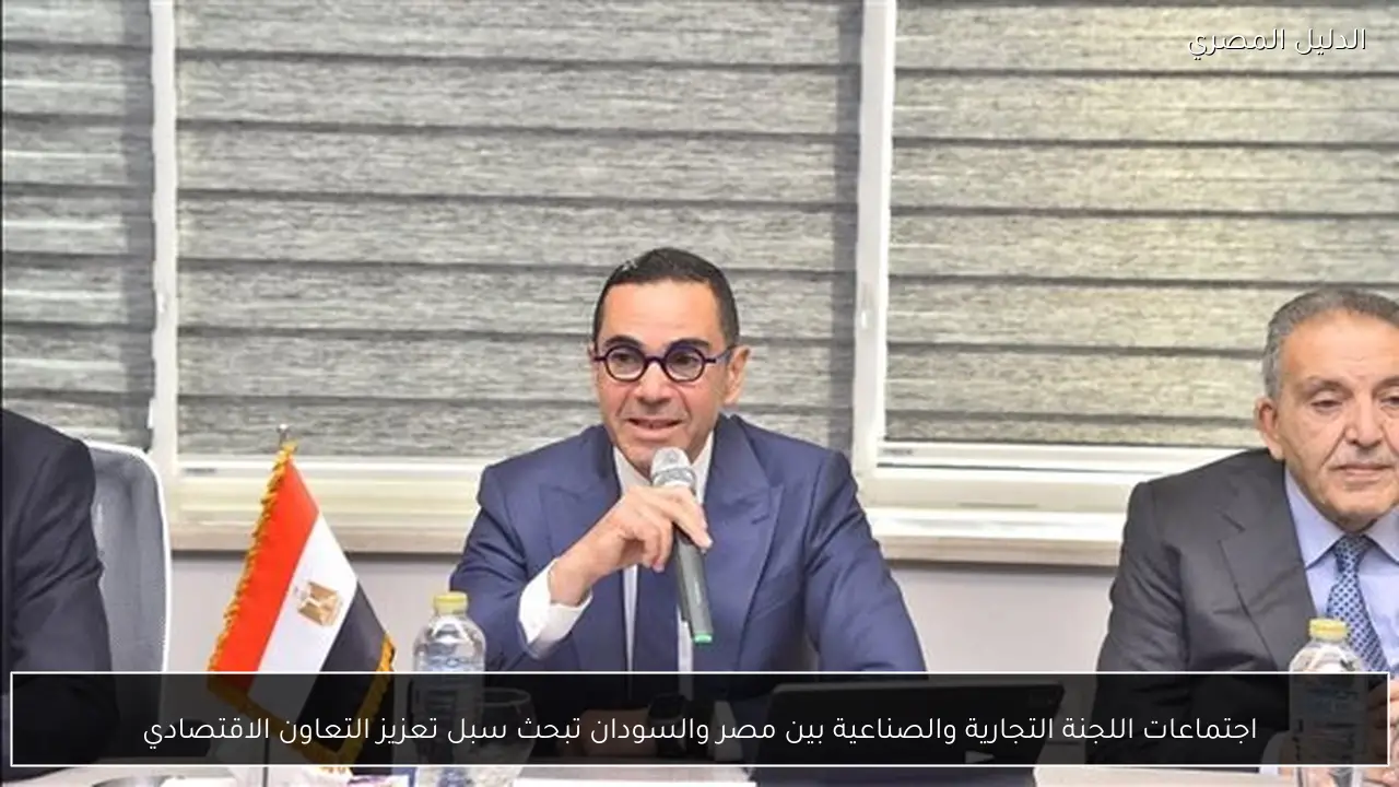 اجتماعات اللجنة التجارية والصناعية بين مصر والسودان تبحث سبل تعزيز التعاون الاقتصادي