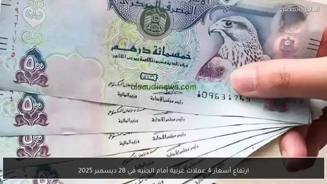 ارتفاع أسعار 4 عملات عربية أمام الجنيه في 28 ديسمبر 2025