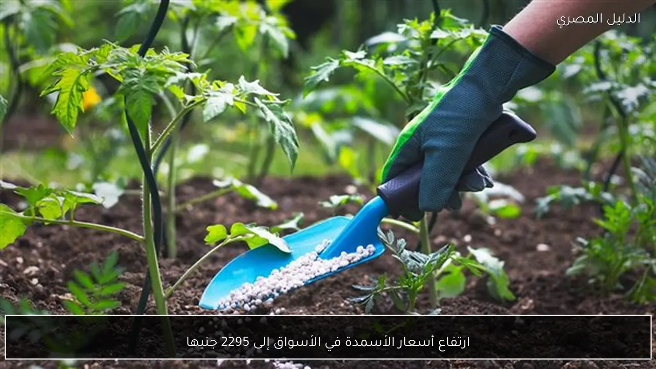 ارتفاع أسعار الأسمدة في الأسواق إلى 2295 جنيها