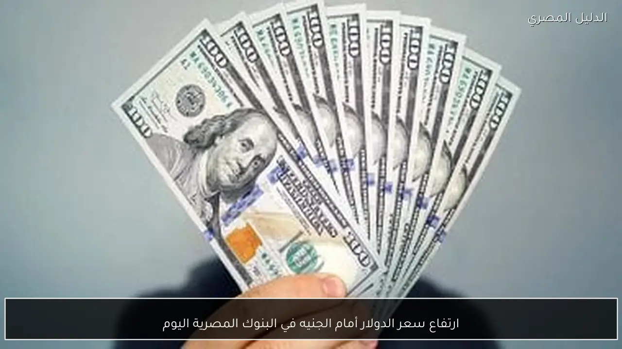 ارتفاع سعر الدولار أمام الجنيه في البنوك المصرية اليوم