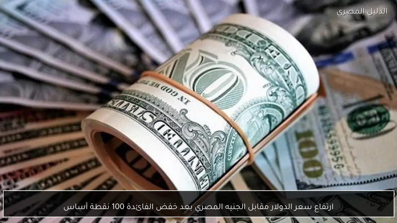 ارتفاع سعر الدولار مقابل الجنيه المصري بعد خفض الفائدة 100 نقطة أساس
