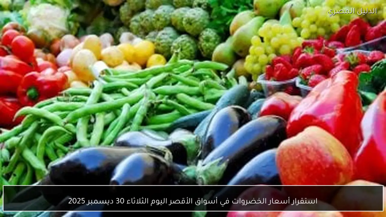 استقرار أسعار الخضروات في أسواق الأقصر اليوم الثلاثاء 30 ديسمبر 2025