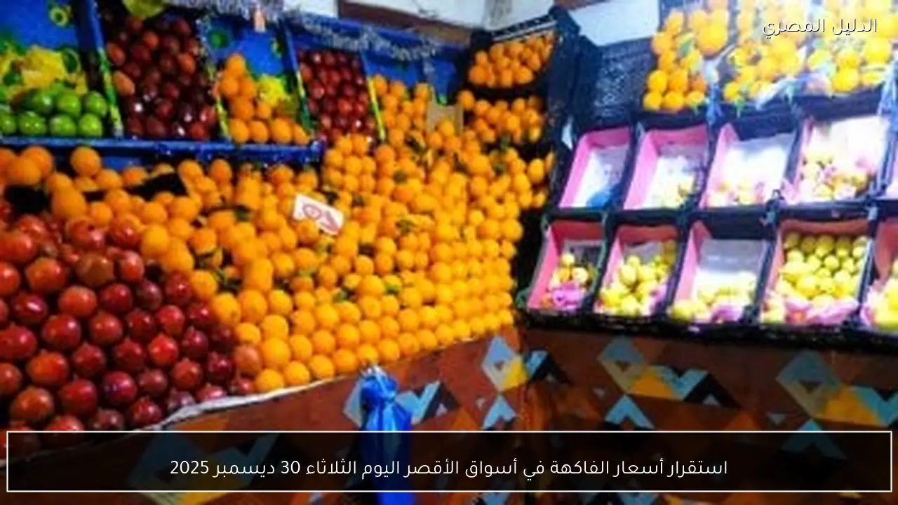 استقرار أسعار الفاكهة في أسواق الأقصر اليوم الثلاثاء 30 ديسمبر 2025