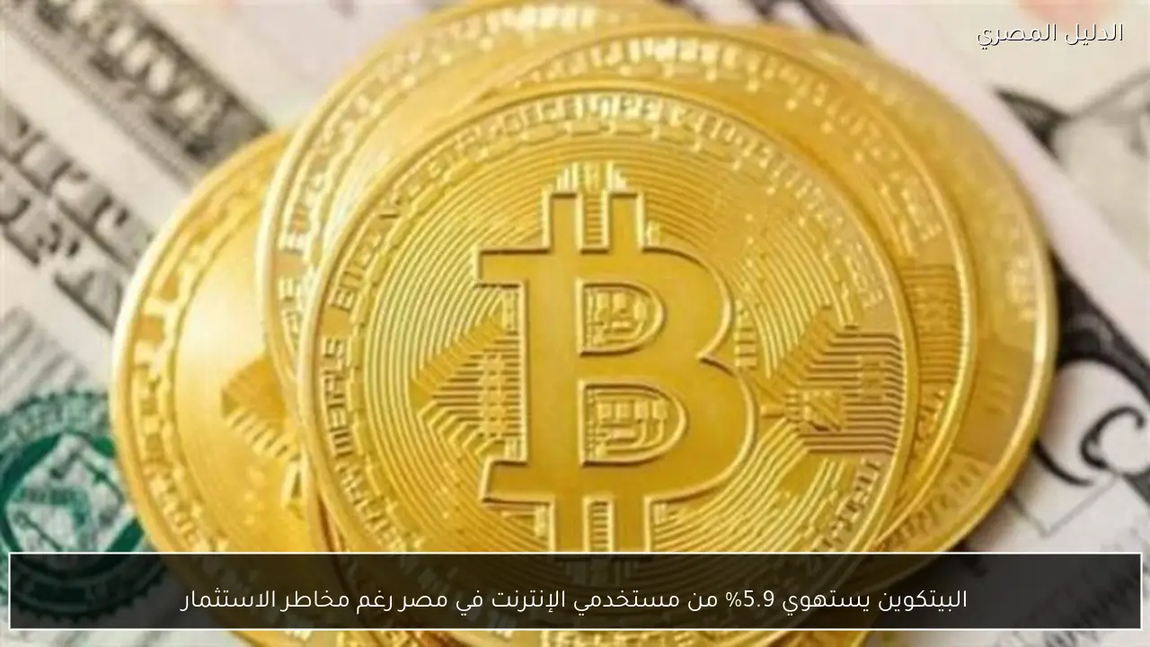 البيتكوين يستهوي 5.9% من مستخدمي الإنترنت في مصر رغم مخاطر الاستثمار