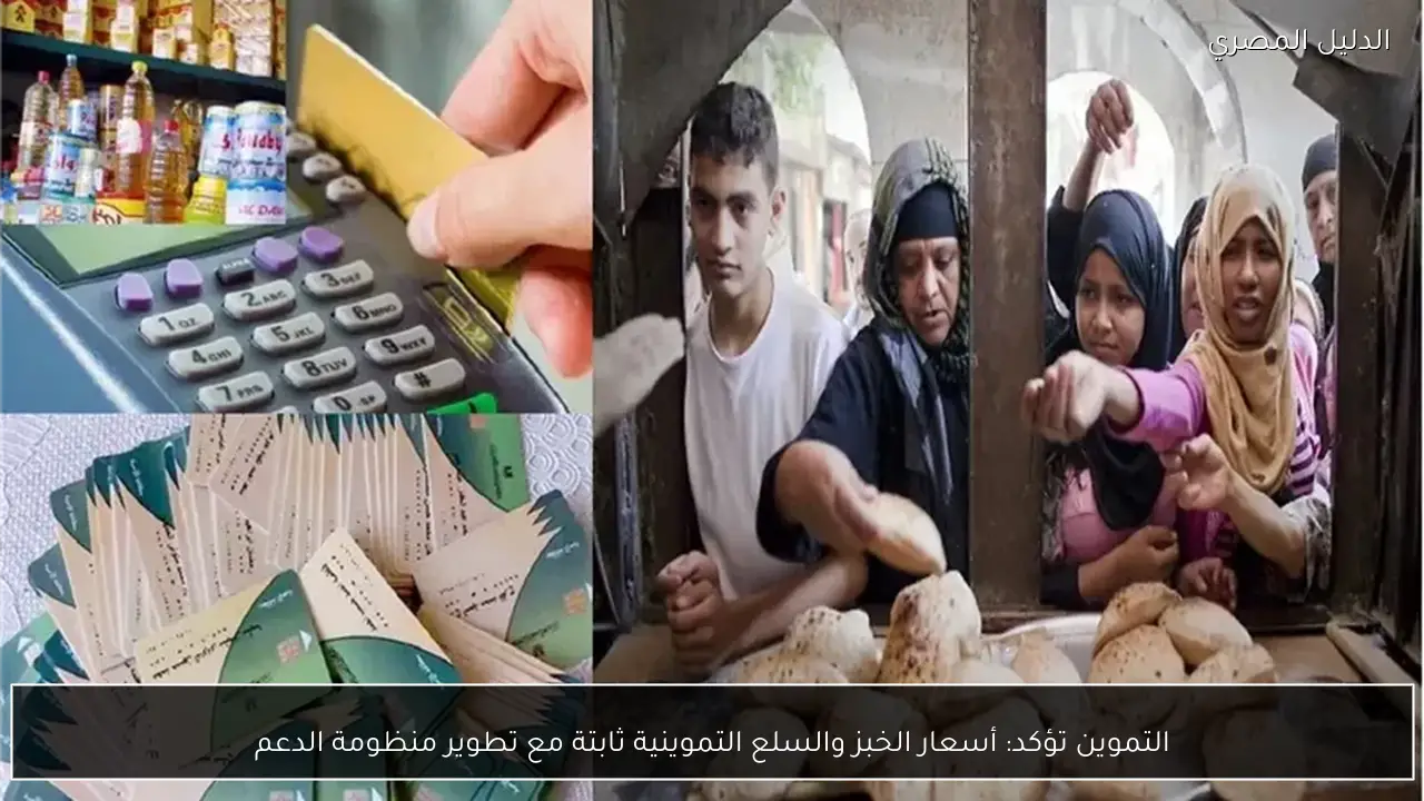 التموين تؤكد: أسعار الخبز والسلع التموينية ثابتة مع تطوير منظومة الدعم