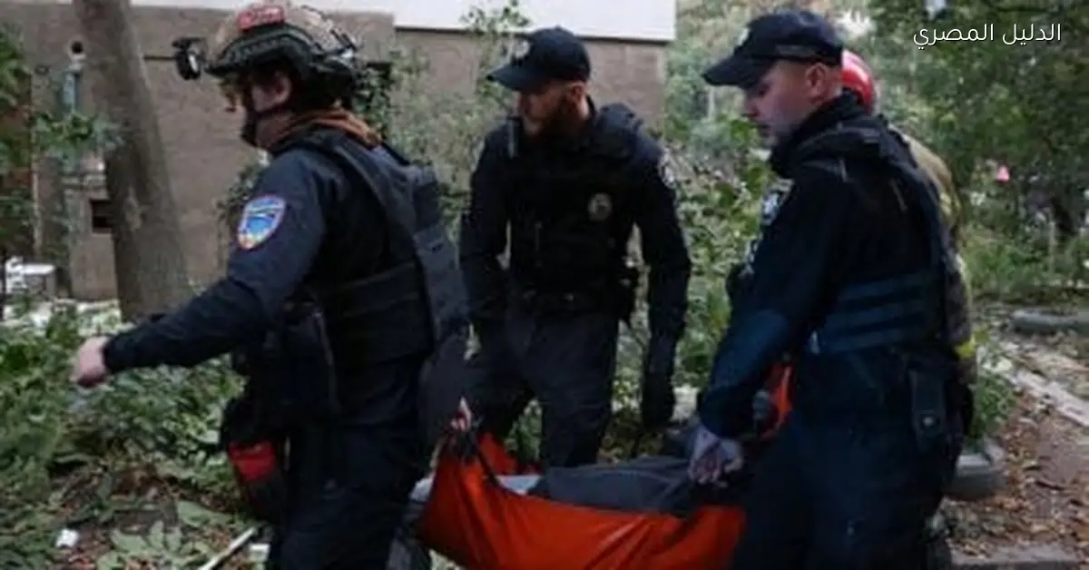 السويد تزيد دعمها المالي لصندوق الطاقة الأوكراني إلى أكثر من 203 ملايين يورو