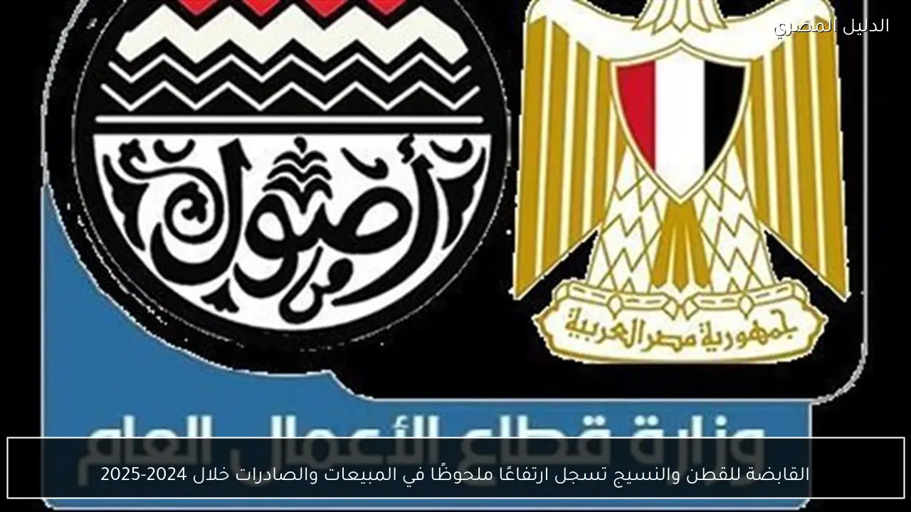 القابضة للقطن والنسيج تسجل ارتفاعًا ملحوظًا في المبيعات والصادرات خلال 2024-2025