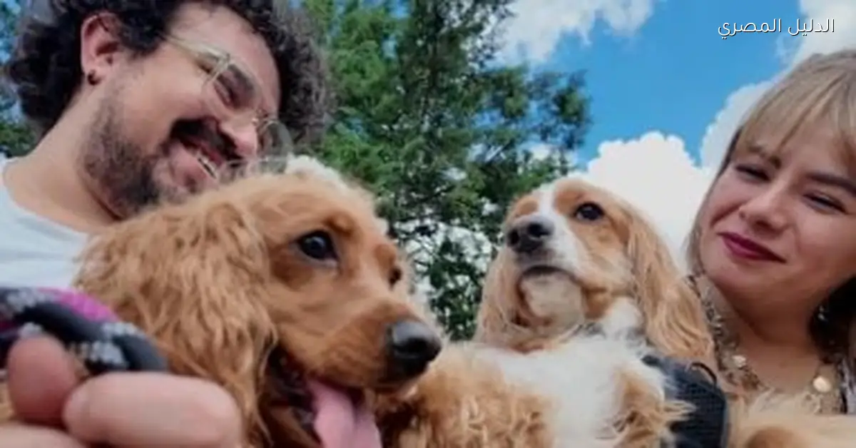 المكسيك تحدد حقوق حضانة الحيوانات الأليفة بعد الطلاق