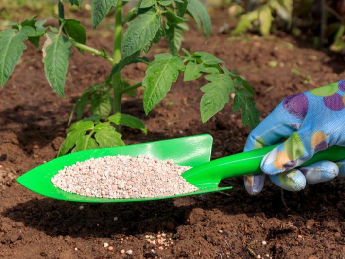 أسعار الأسمدة اليوم، الدليل المصري