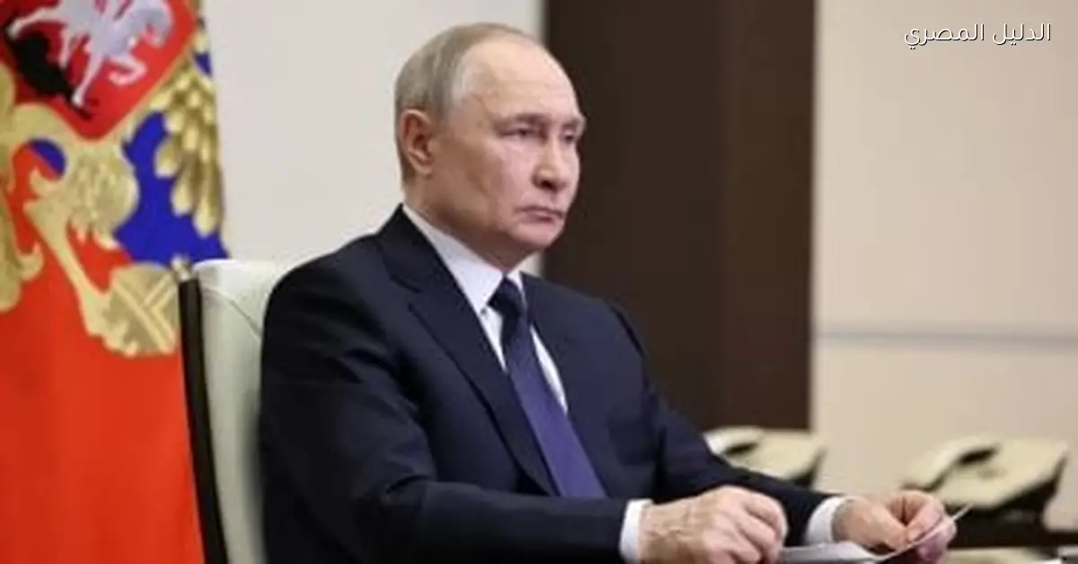 بوتين يعلن زيادة إنتاج أسلحة المدفعية الصاروخية في روسيا بنسبة 9.6 مرة