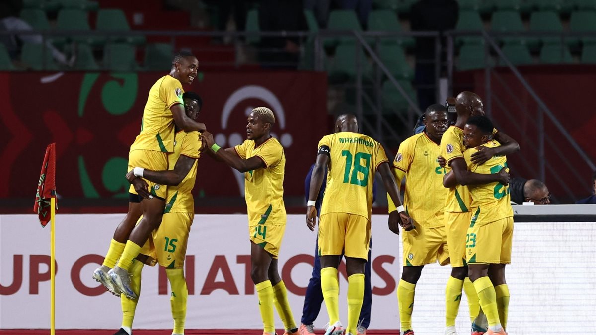 منتخب زيمبابوي، الدليل المصري