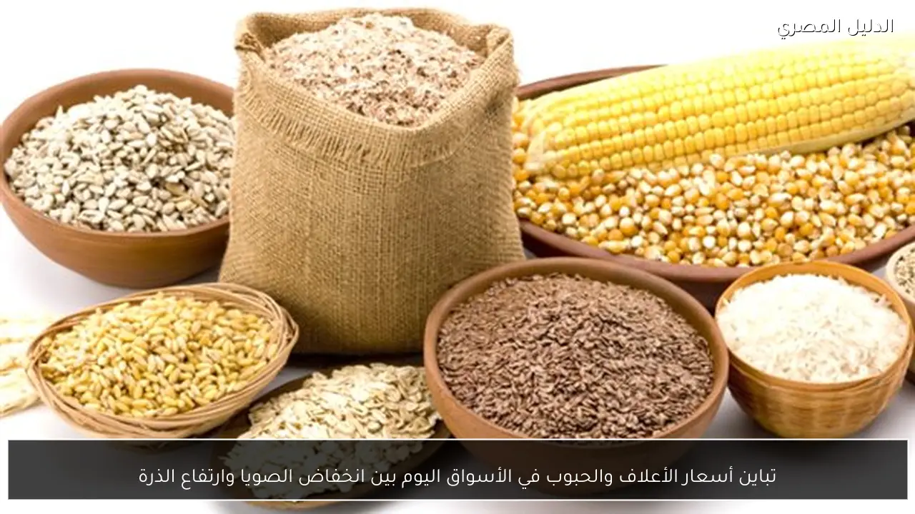 تباين أسعار الأعلاف والحبوب في الأسواق اليوم بين انخفاض الصويا وارتفاع الذرة