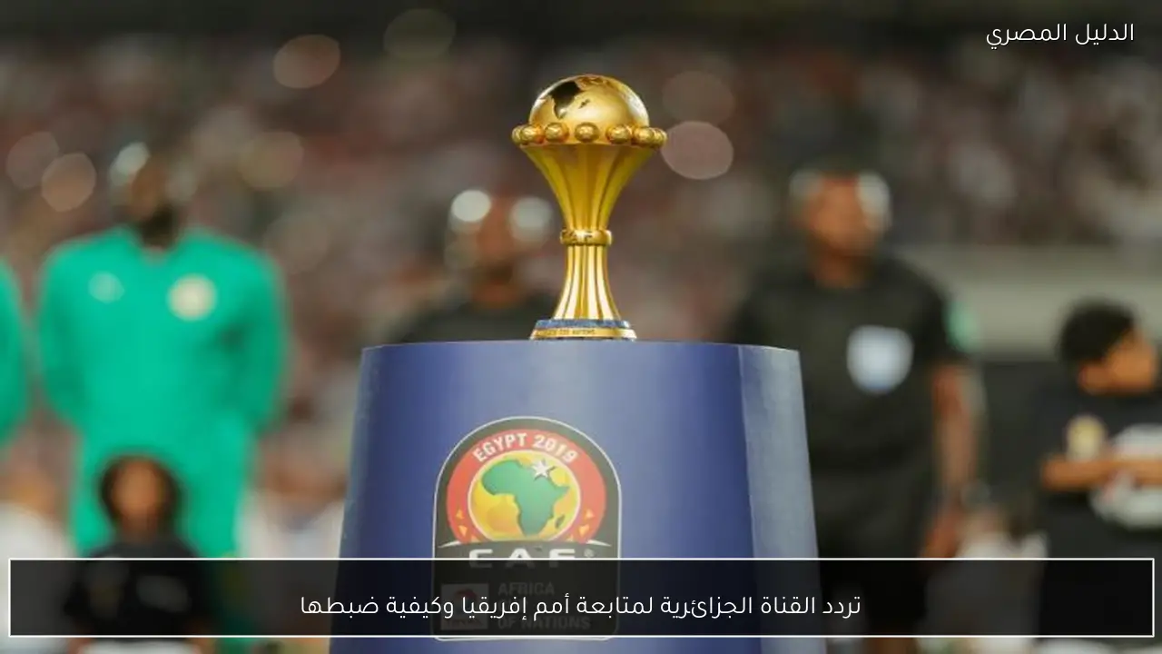 تردد القناة الجزائرية لمتابعة أمم إفريقيا وكيفية ضبطها