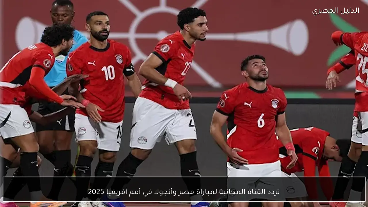 تردد القناة المجانية لمباراة مصر وأنجولا في أمم أفريقيا 2025