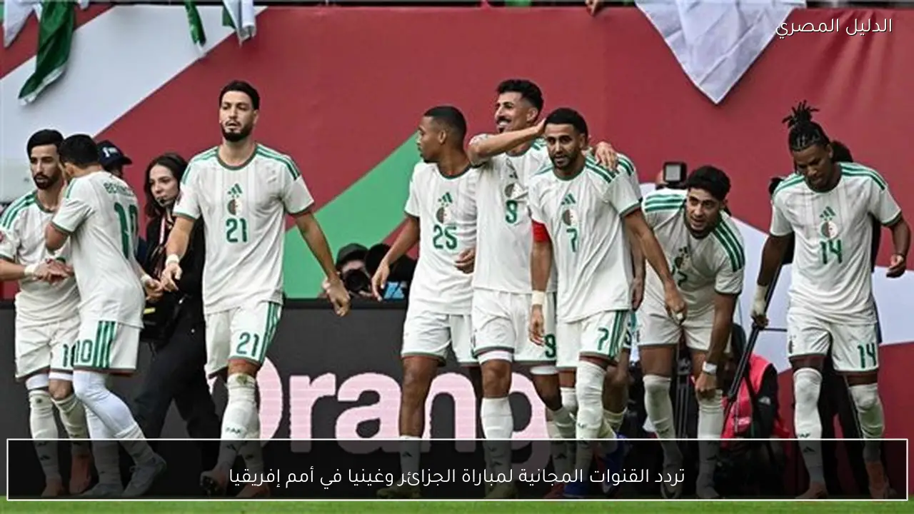 تردد القنوات المجانية لمباراة الجزائر وغينيا في أمم إفريقيا