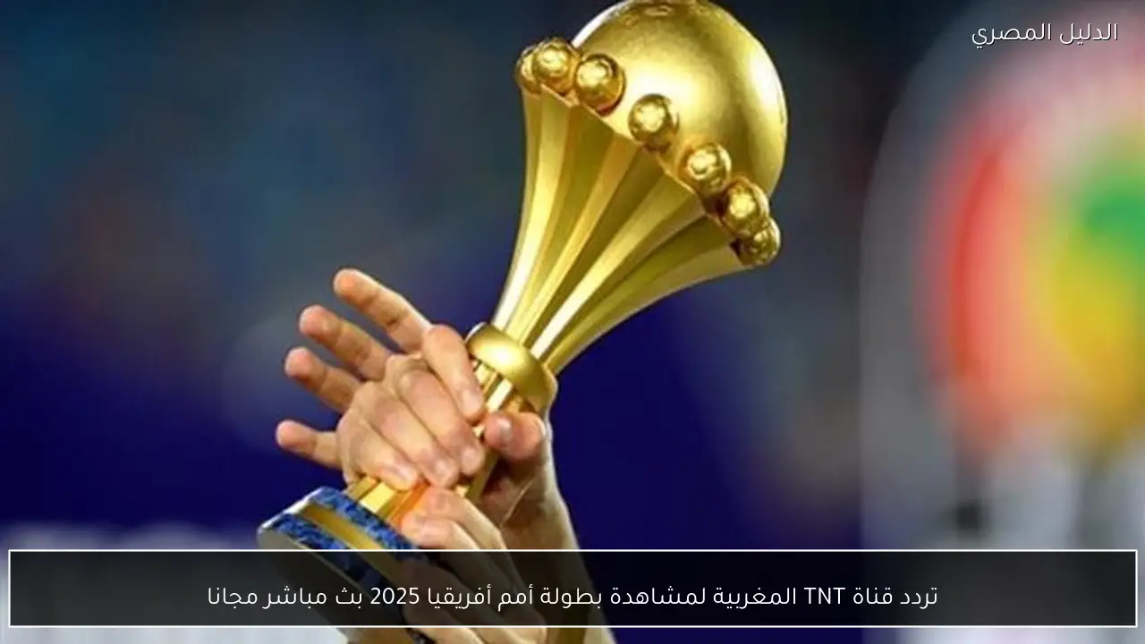 تردد قناة TNT المغربية لمشاهدة بطولة أمم أفريقيا 2025 بث مباشر مجانا
